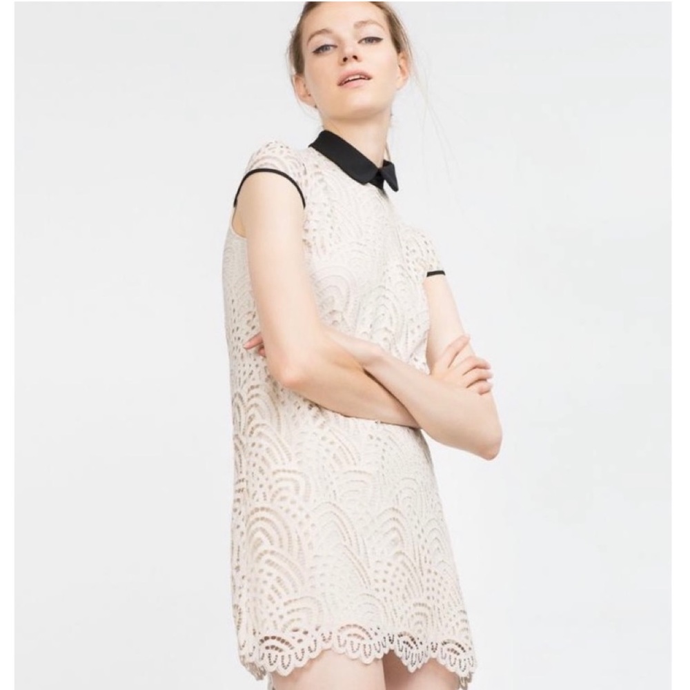 NWOT Zara Lace Dress with Black Collar